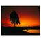 Designart - Sunset View in Tanzania - African Landscape Canvas Art Print